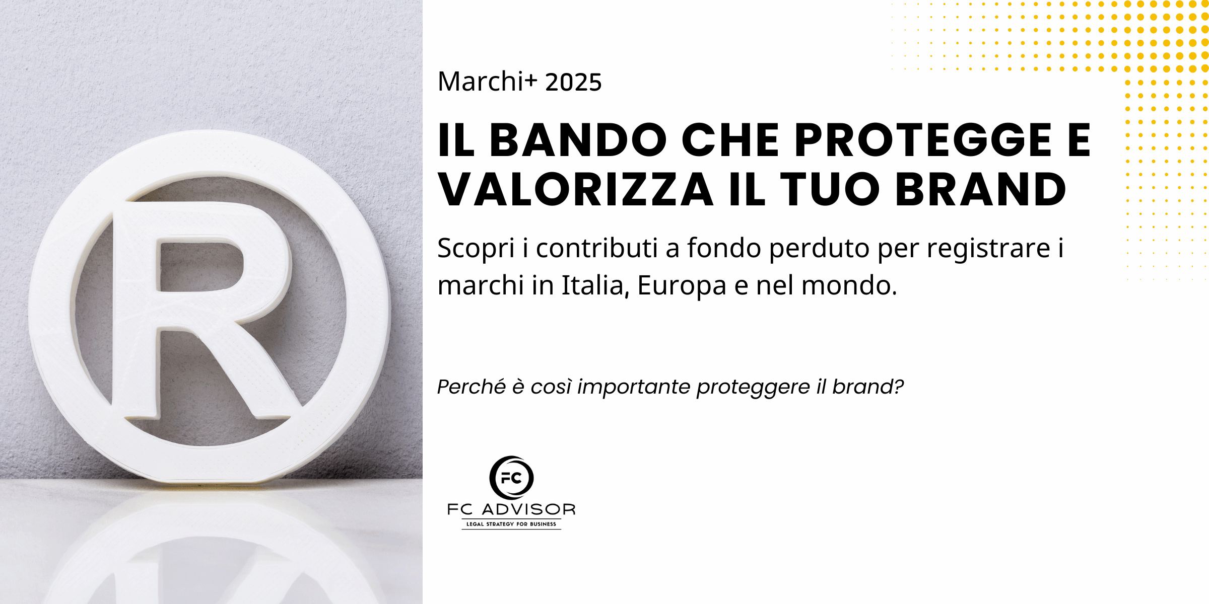 Copia di 06.10 MARCHI+_CAROSELLO_LINKEDIN